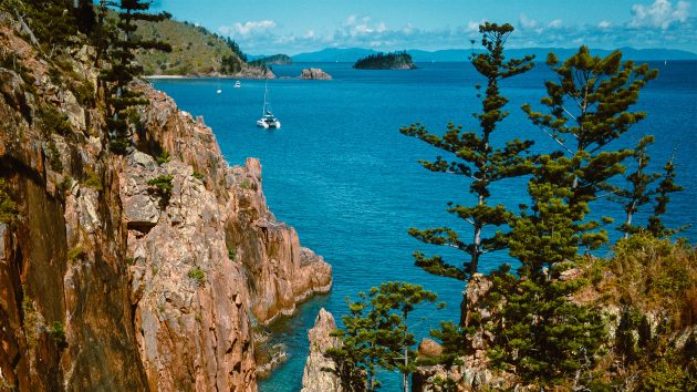 View from some craggy cliffs. There are a few tall trees in front of blue seas. A yacht is bobbing in the distance and the sun is shining.