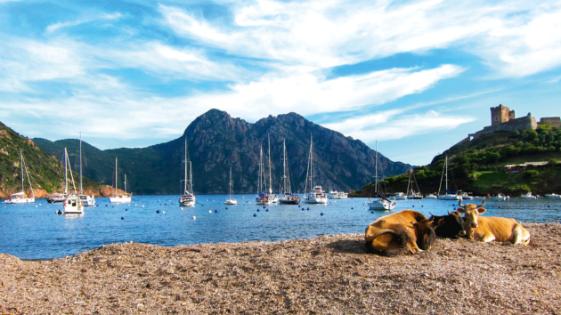 Port de Girolata with sunshine