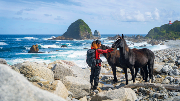 A friendly pause with horses along the path to Raper lighthouse.